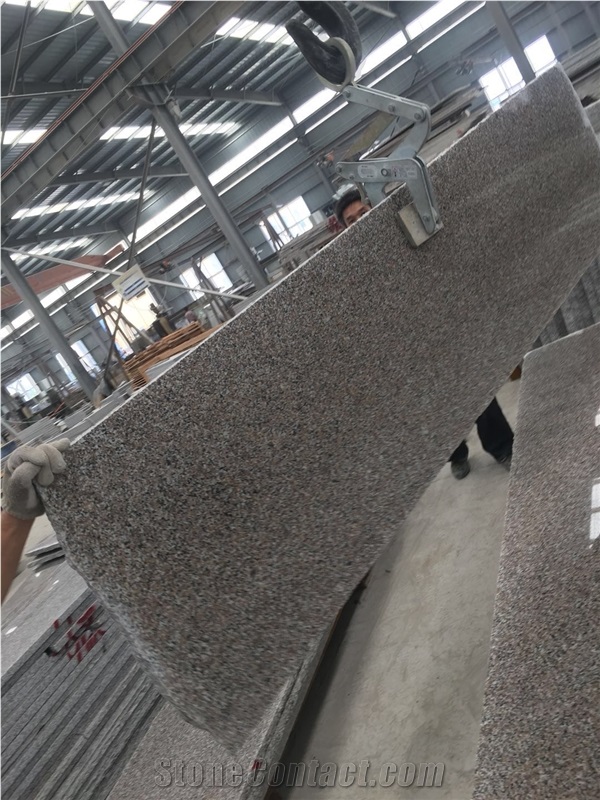 China New G664 Brown Granite Floor Wall Slab Tile
