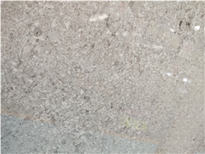 Grey Limestone Floor Wall Slab Tiles