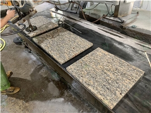 Factory Direct Santa Cecilia Classic Granite Slab