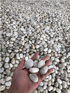 White Pebbles for Paving Decoration