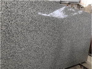 G439 Bala White Granite Slabs & Tiles