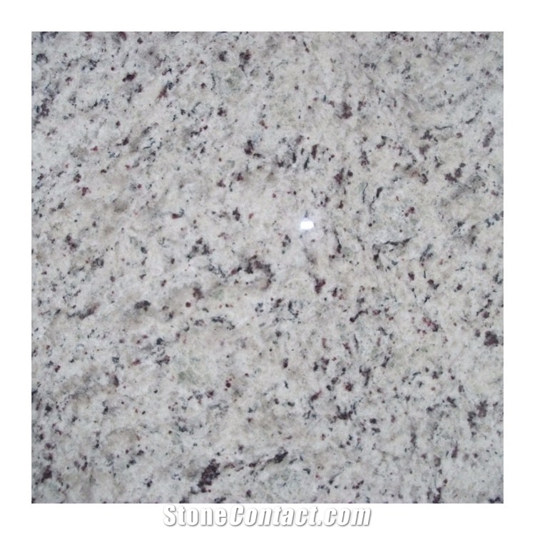 Natural Polished Dallas Classic White Granite