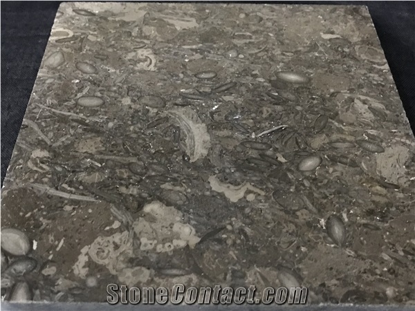 Ocean Grey Marble Slabs & Tiles