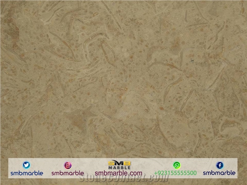 Tervera Marble Flooring Tiles & Slabs