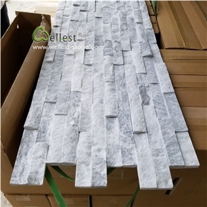 Light Cloudy Grey White Quartzite Wall Stone Panel