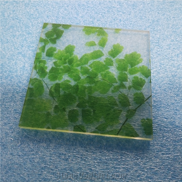 Translucent Acrylic Sheet for Window and Partition