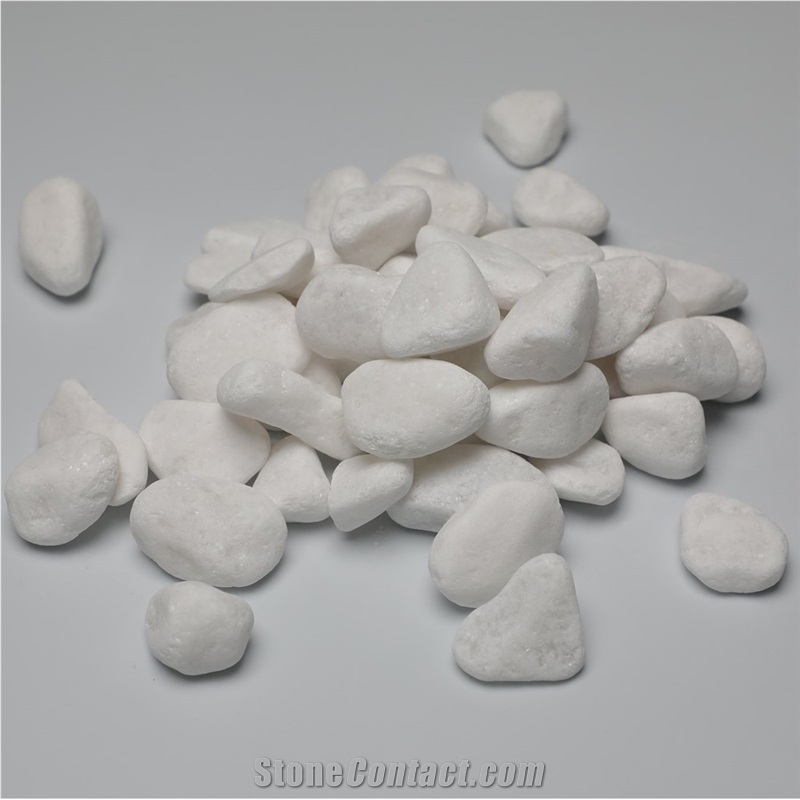 Hot Sale Pebbles Stone White Color from Viet Nam - StoneContact.com