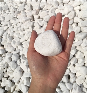 Natural Pebbles White Color for Landscape