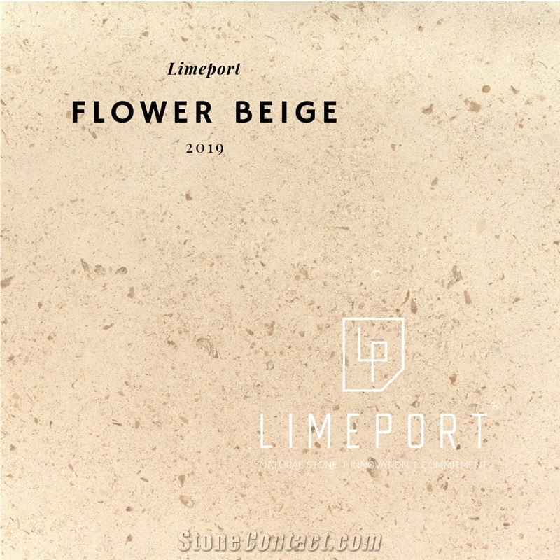 Flower Beige Limestone Tiles, Slabs, Moleanos Beige Limestone