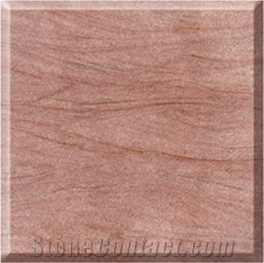 China Natural Red Wooden Sandstone Slabs&Tiles