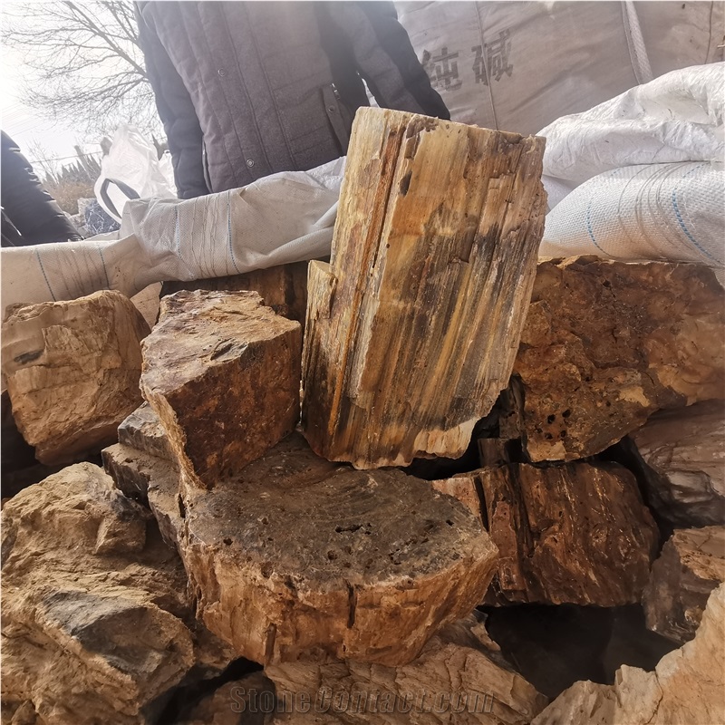 Natural Wood Stone Aquarium Rocks Petrified Wood