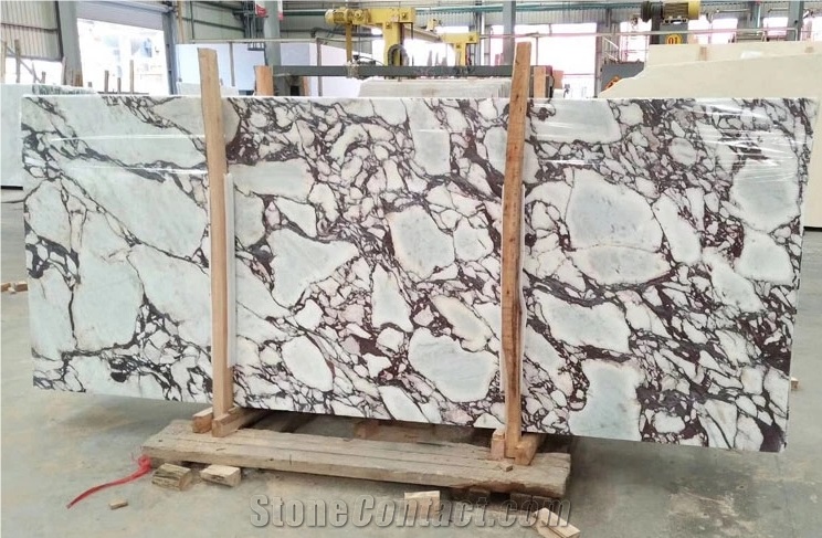 Calacatta Violet Marble Slab and Tiles for Project