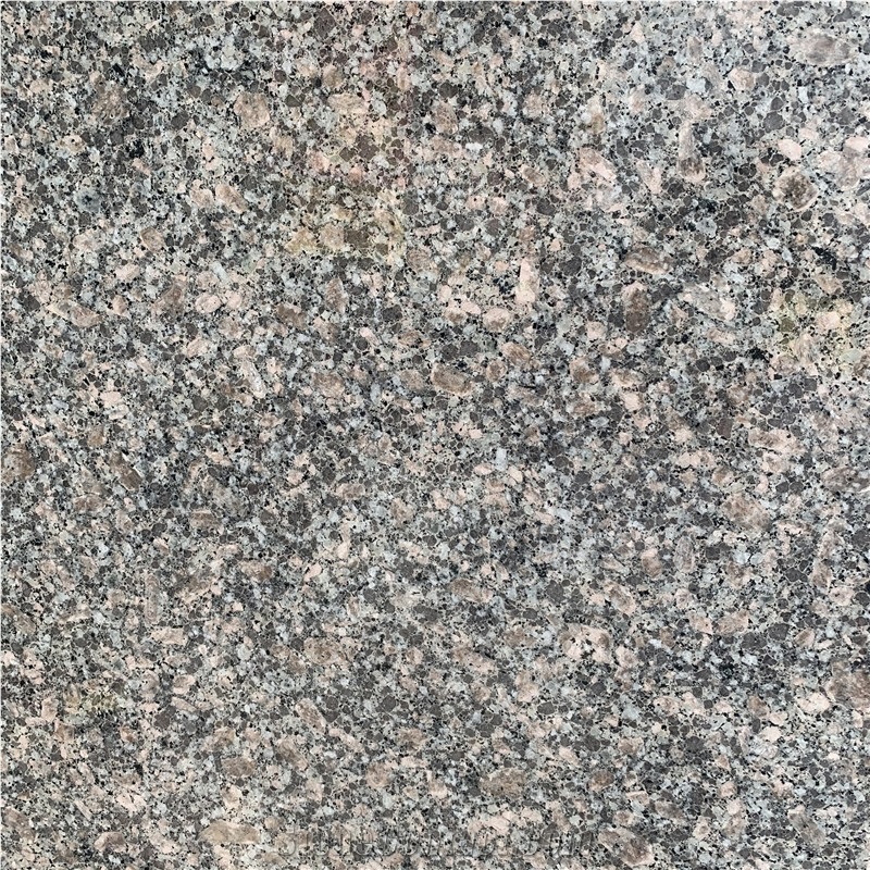 Good Quality Padang Giallo Granite Slabs