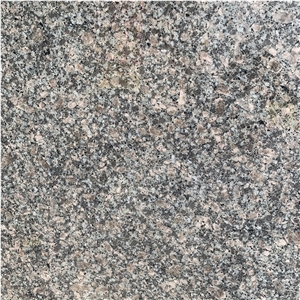 Good Quality Padang Giallo Granite Slabs