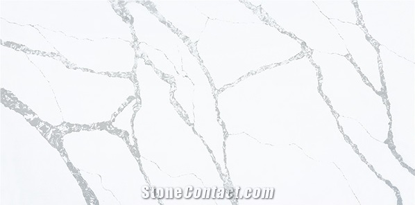 Calacatta Quartz Stone Wall Application Slabs