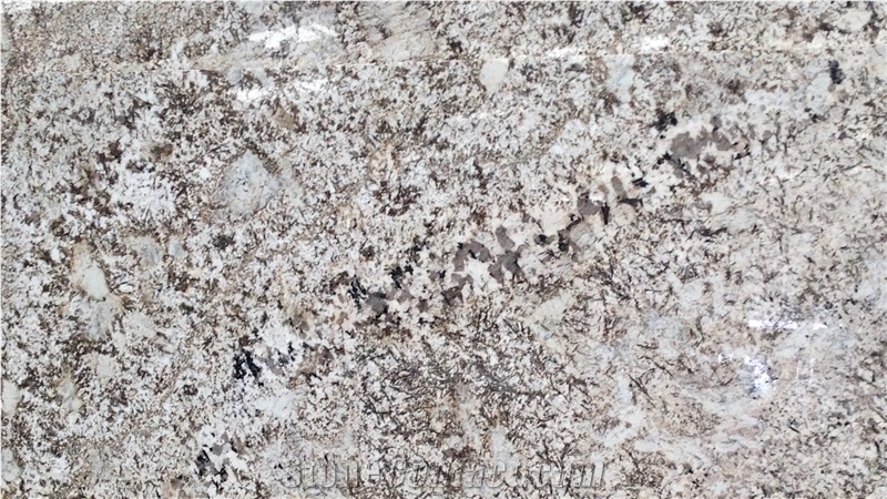 Alaska White Granite Slabs