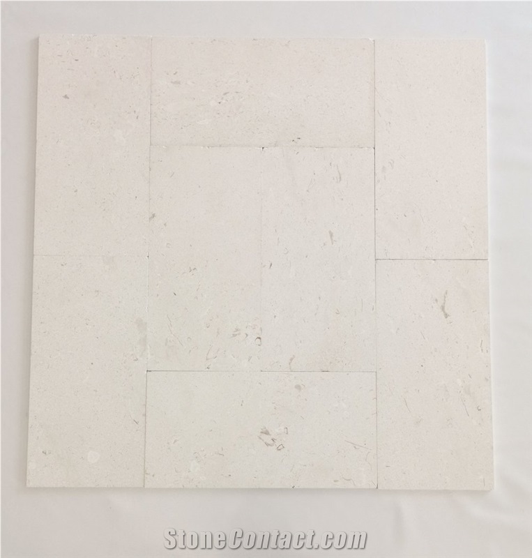 Pearl Beige Shell Stone Honed Tile