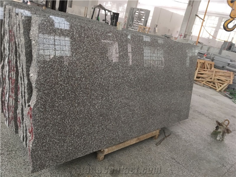 China Old G664 Brown Granite Big Slabs in 5cm