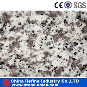 G439 Grey Granite Slabs,China Bianco Sardo Slabs