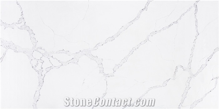 Calacatta Super White Quartz Wall Slabs from China