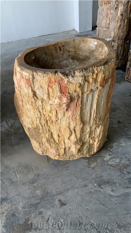 Fossil Petrified Wood Stone Pedestal Basin Natural