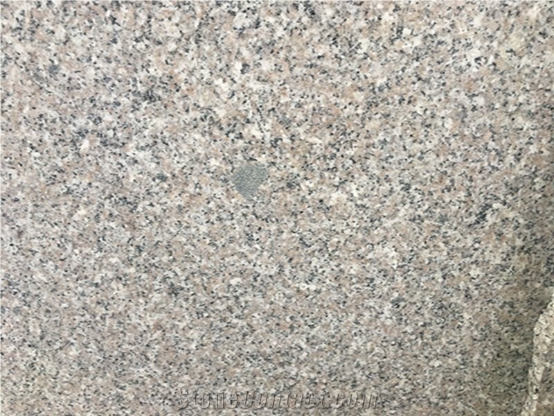 G636 China Red Granite Polished Kitchen Floor Slab