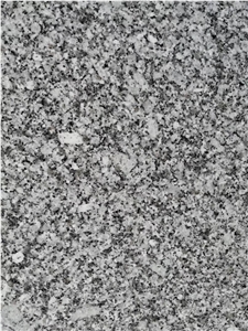 New G623,Bianco Sardo,Light Grey Granite Slabs&Tiles