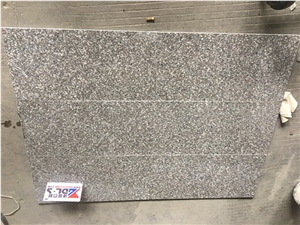 New G664 Granite Floor Polished Tiles Cut to Size