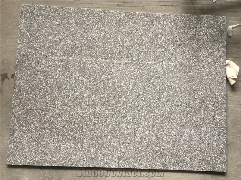 New G664 Red Brown Granite Polished Tiles $10.2/M2