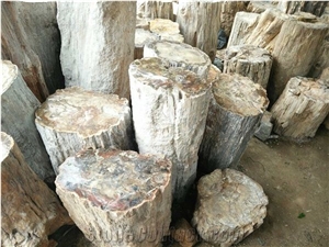 Petrified Wood Blocks