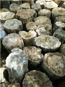 Petrified Wood Blocks