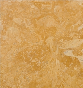 Flowery Gold Marble Slabs and Tiles