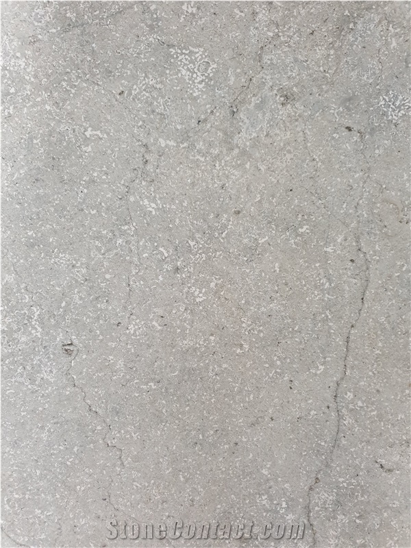 Transylvania Gray Limestone Tiles