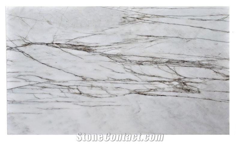 Dione Spider Marble Slabs
