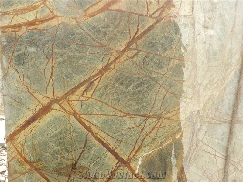 Rain Forest Green Marble Slabs, Tiles