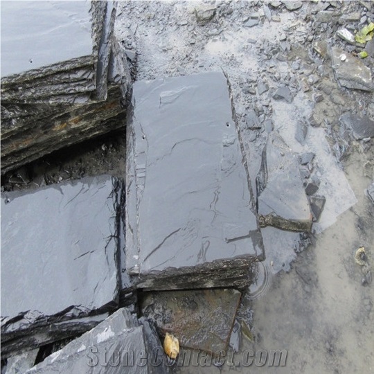 Chinese Natural Stone Black Roof Slate Tiles