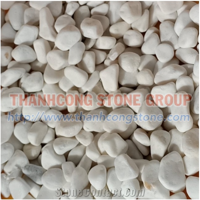 Vietnam Milky White Marble - Ivory White Pebble Stone