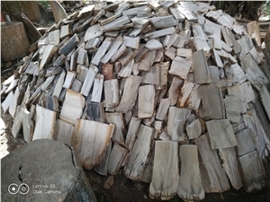 Petrified Wood Cuts