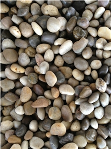 Mixed Pebble Stone River Stone Walkway Pebbles