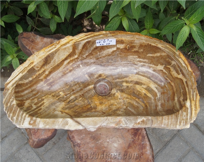 Sink Fossil Wood Petrified Wood