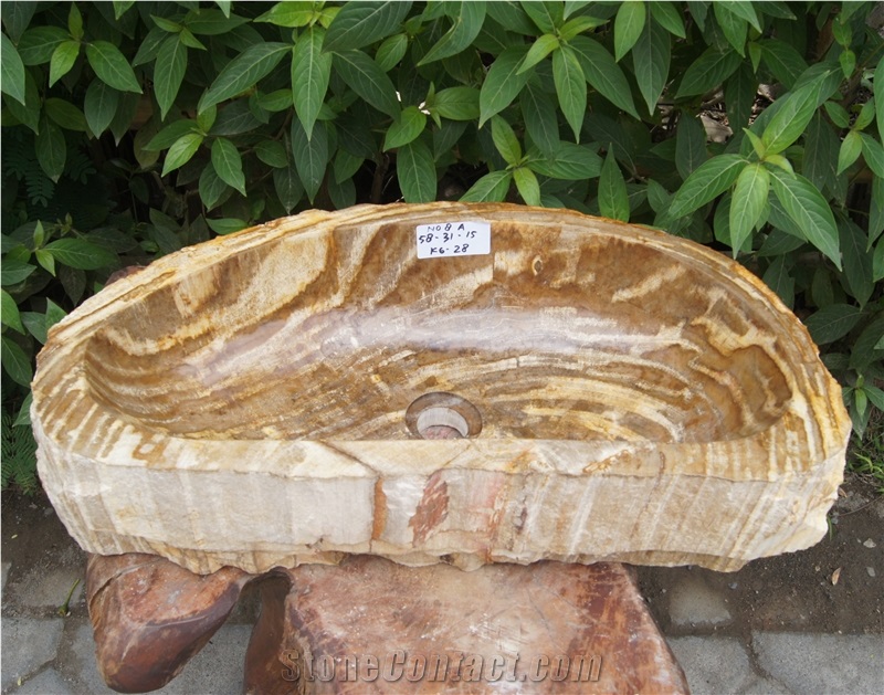 Sink Fossil Wood Petrified Wood