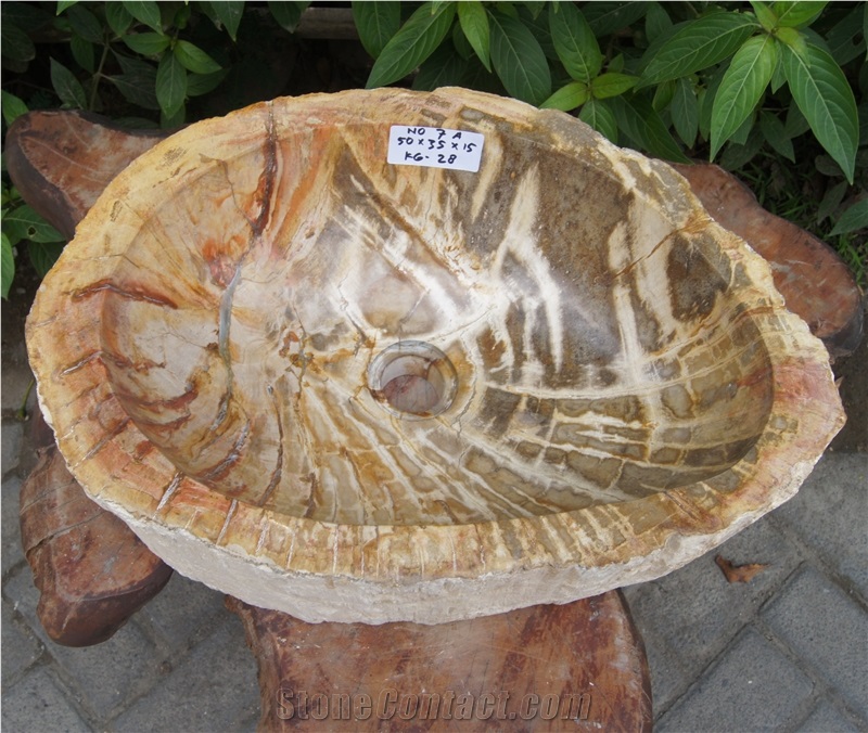 Sink from Fossil Wood Petrified Wood