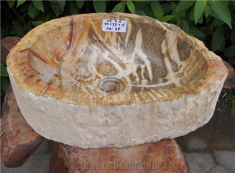 Sink from Fossil Wood Petrified Wood