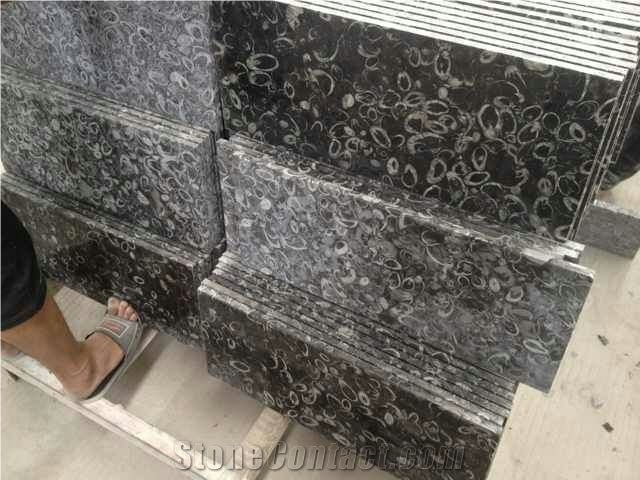 Chinese Fossil Black Sea Shell Marble Tiles