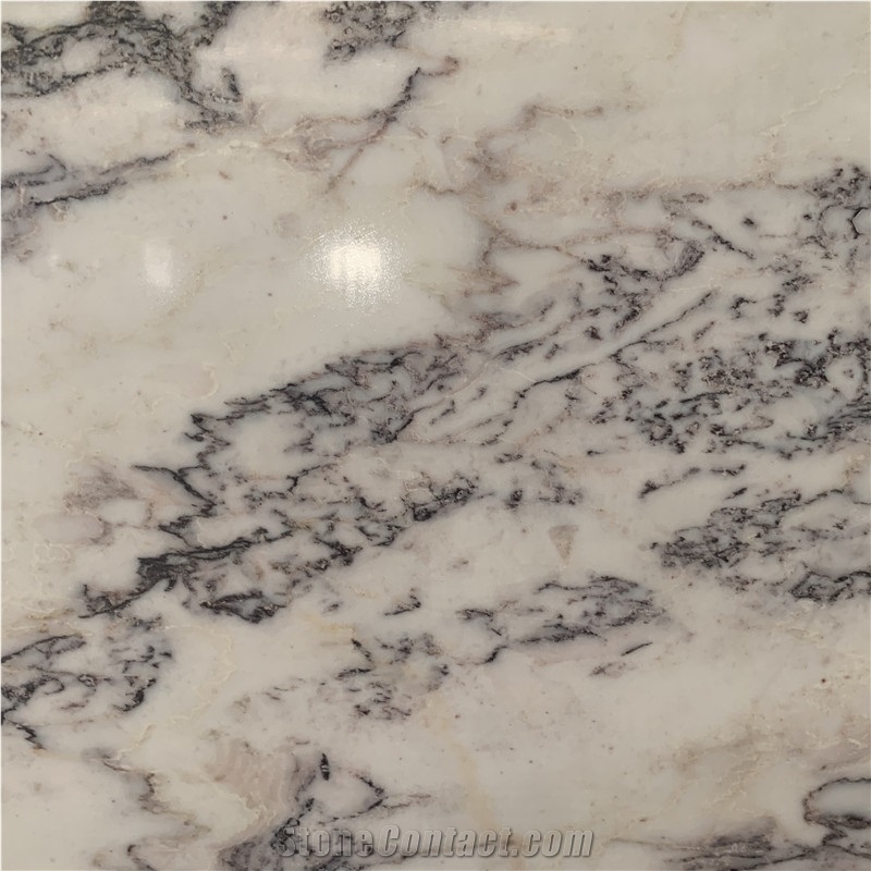 White Marble With Black Veins Slab For Wall Decor