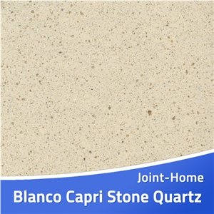 Blanco Capri Stone Quartz Slab for Countertops