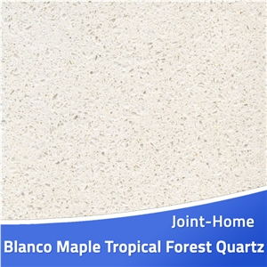 Blanco Maple Tropical Forest Quartz Stone Slabs
