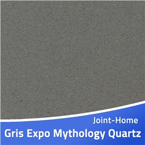 Gris Expo Mythology Quartz Slab for Countertops