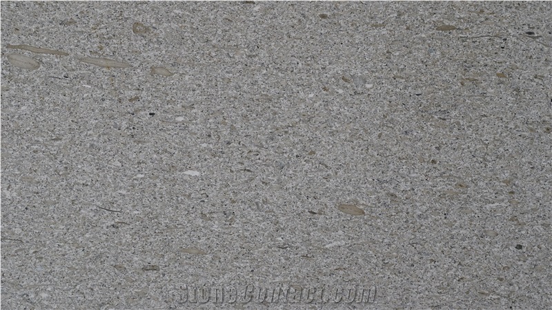Moca Silver Limestone Tiles & Slabs