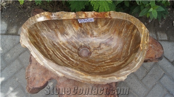 Sink Petrified Wood Sink, Wash Basin